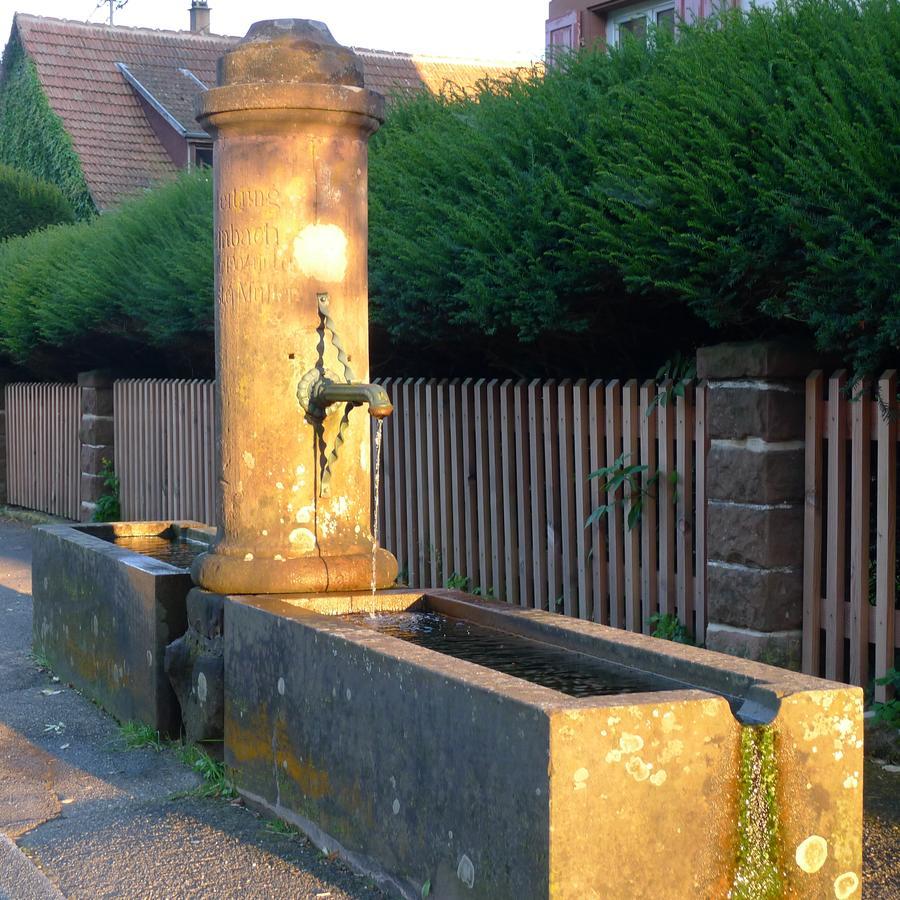 Obersteinbach Un Gite Dans La Vallee מראה חיצוני תמונה