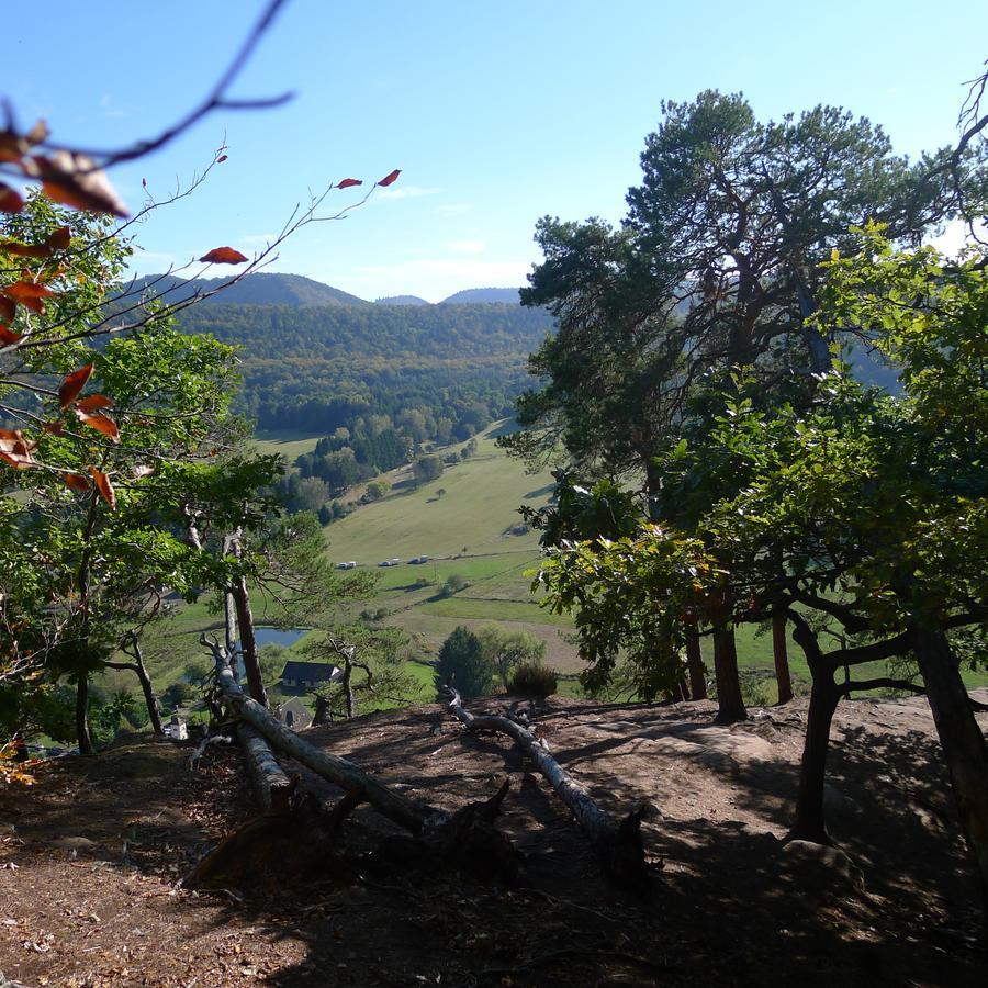 Obersteinbach Un Gite Dans La Vallee מראה חיצוני תמונה